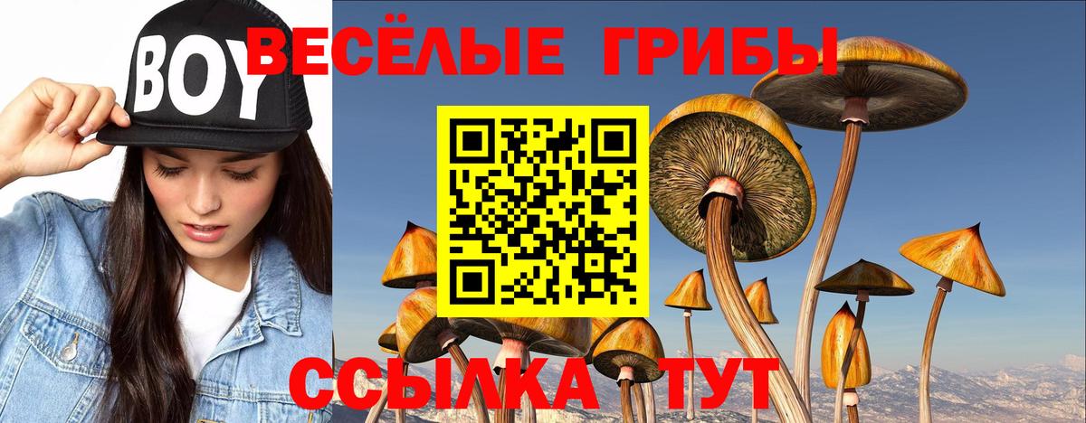 Белая Калитва  Галлюциногенные грибы Magic Shrooms  Вход с VPN 